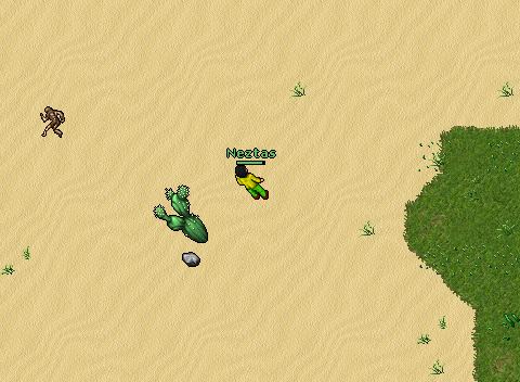 8 Iridia WAR 2