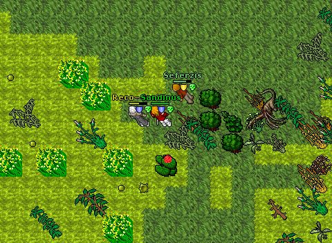 Dragon land