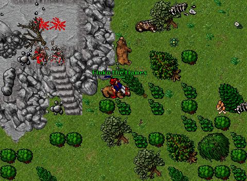 Wyverns