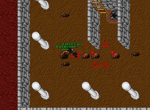 Hunt Level 13