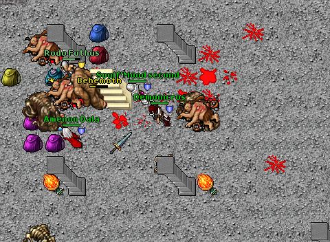 Behehunt astera