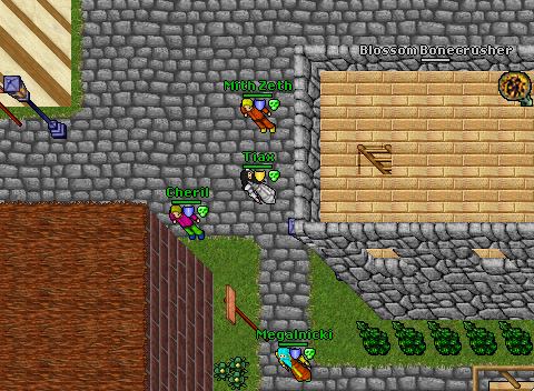 Noob pk