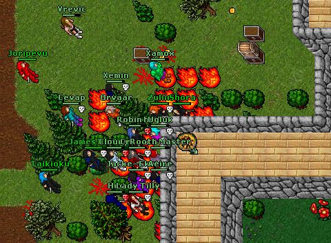 Novafight Zuliin 2