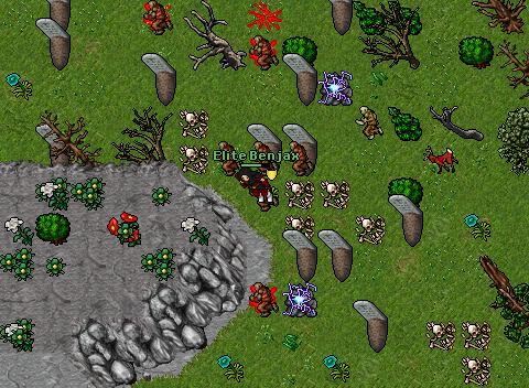 Elite Benjax-101EK Hunting