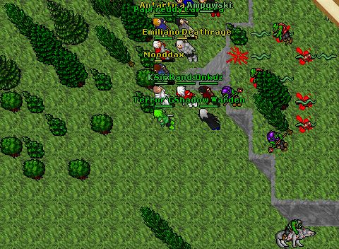 ORC Hills