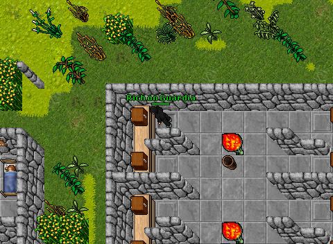 Hackzin em guardia