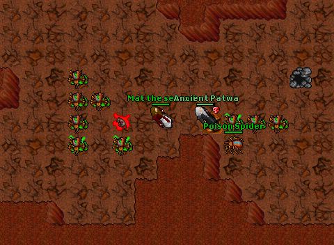Botting obsidia
