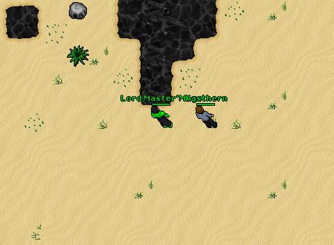 (Lmm)76RP