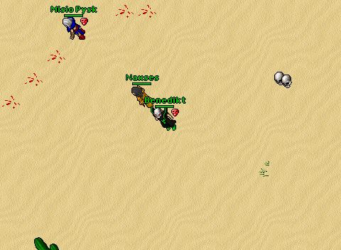 Ankfight