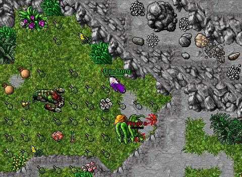 Hydra