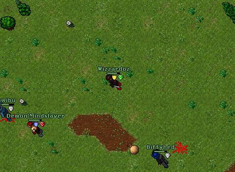 Wizz Vs. Duwibu