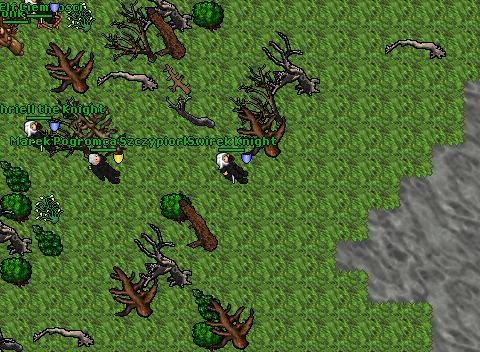 Pohteamplx