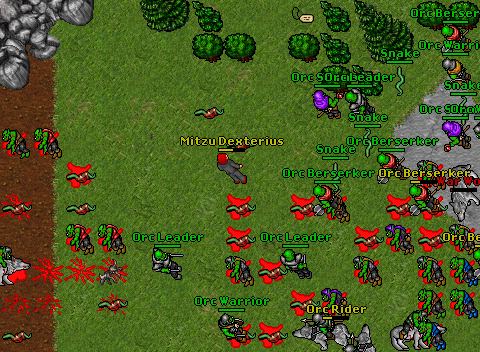 Mange orc Raid