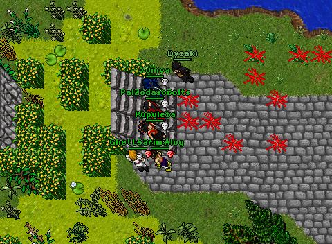 Nova - POB (bsp) venore battle
