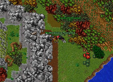 Luring 4 dziok 8 0