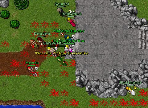 Kashaction
