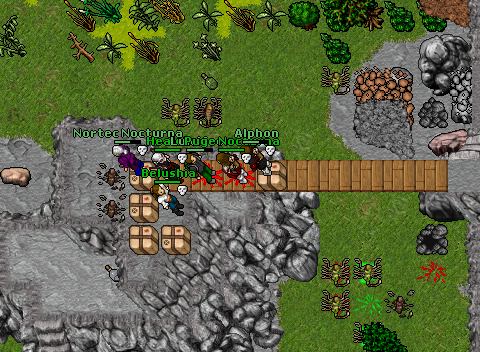 95 ek down