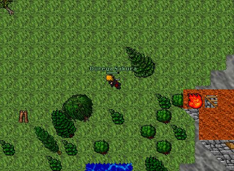 Bright sword guardia