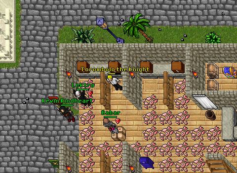 100 pigys busted