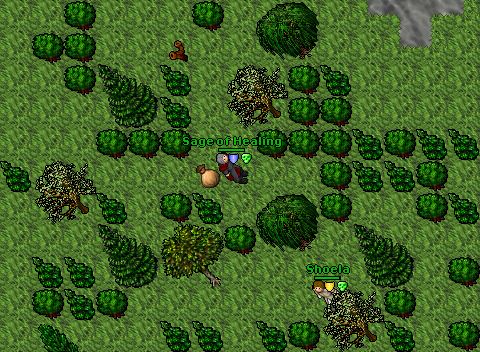 Druidisland