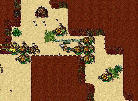 [Elera]Lord'Paulistinha killing the anti bot tortoise.