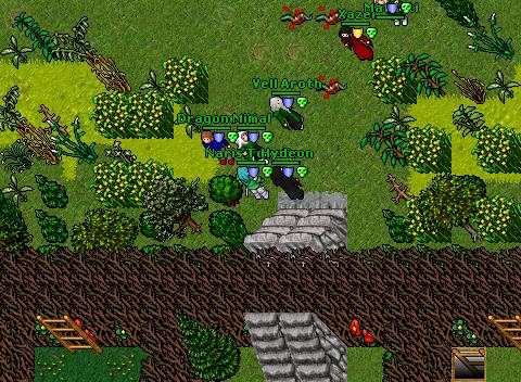 Elf Fortess Quest