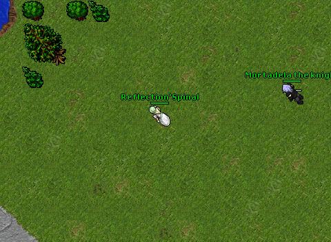 Dandi dead