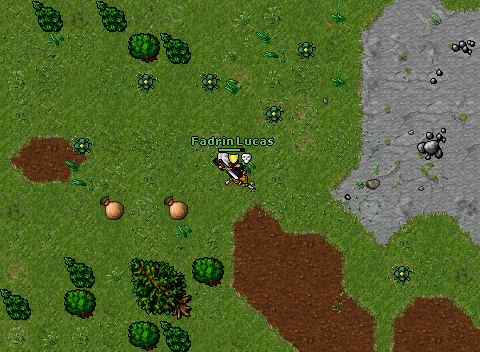 El gran escape vinera