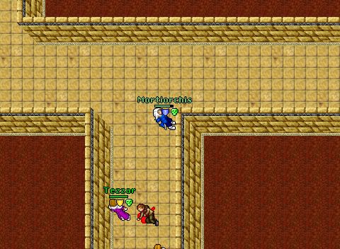 Ruinsflamehunt
