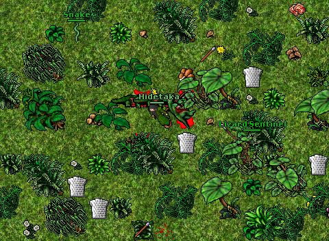 Hide lizardurn