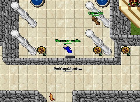 Hacked pking