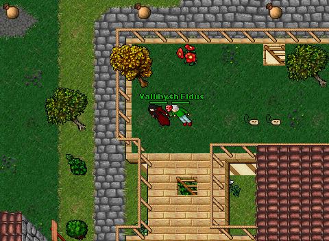 Killing Fairy