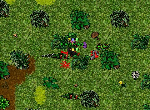 Immortalis War 1