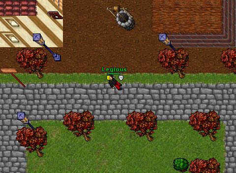 Rls pking 1