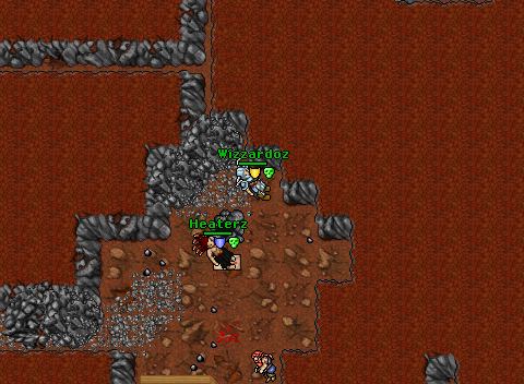 Wizz 105 Pking