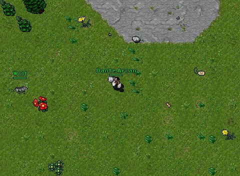 Noble Quest