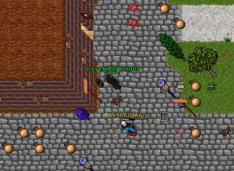 PK Thais thief
