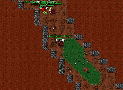 SA killing Willmyster