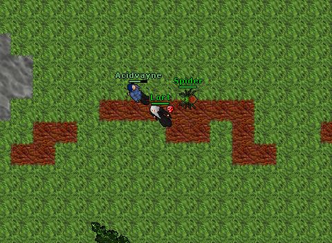 Pking Lort