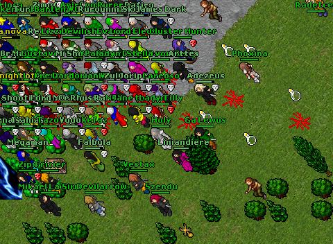 Nova fight 11