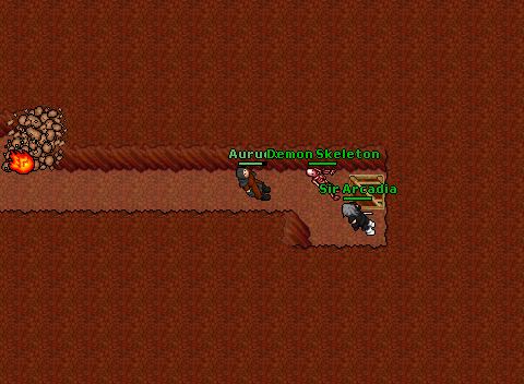 3 companydrags